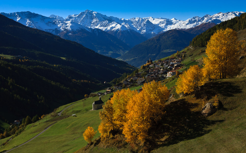 Platz 11 Josef Schafnitzel